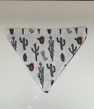 Load image into Gallery viewer, Prickly Pooch Reversible Dog Bandana
