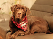 Load image into Gallery viewer, Valentines Day Reversible Dog Bandana
